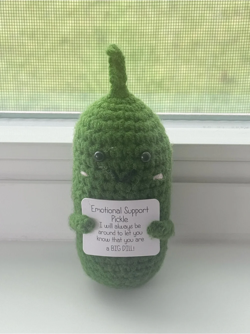Handmade Green Crochet 'Emotional Support Pickle' Plush